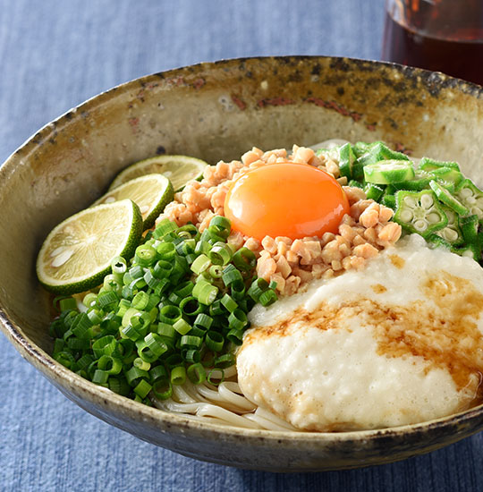 ネバネバ半田そうめん 半田めん 半田そうめん のおすすめレシピ 手延半田めん 半田そうめんの小野製麺 公式通販